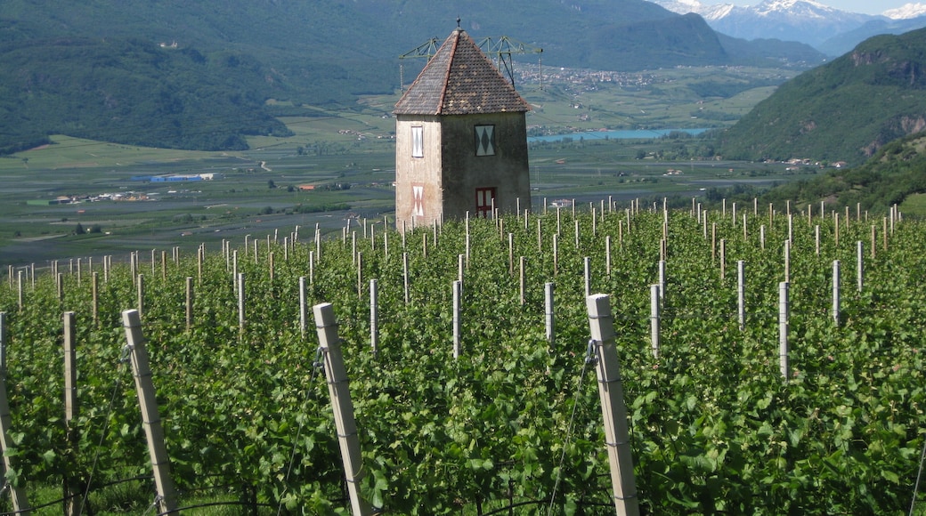 Saltnerhäuschen in Pinzon