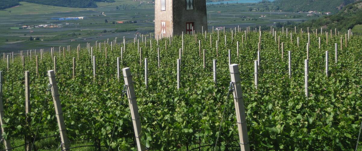 Saltnerhäuschen in Pinzon