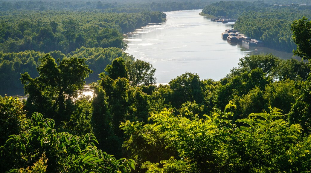 Vicksburg National Military Park