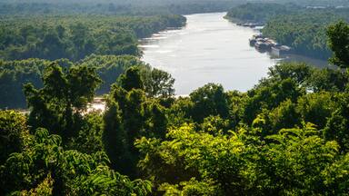 Vicksburg National Military Park