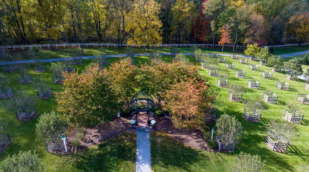 伊丽莎白镇自然公园