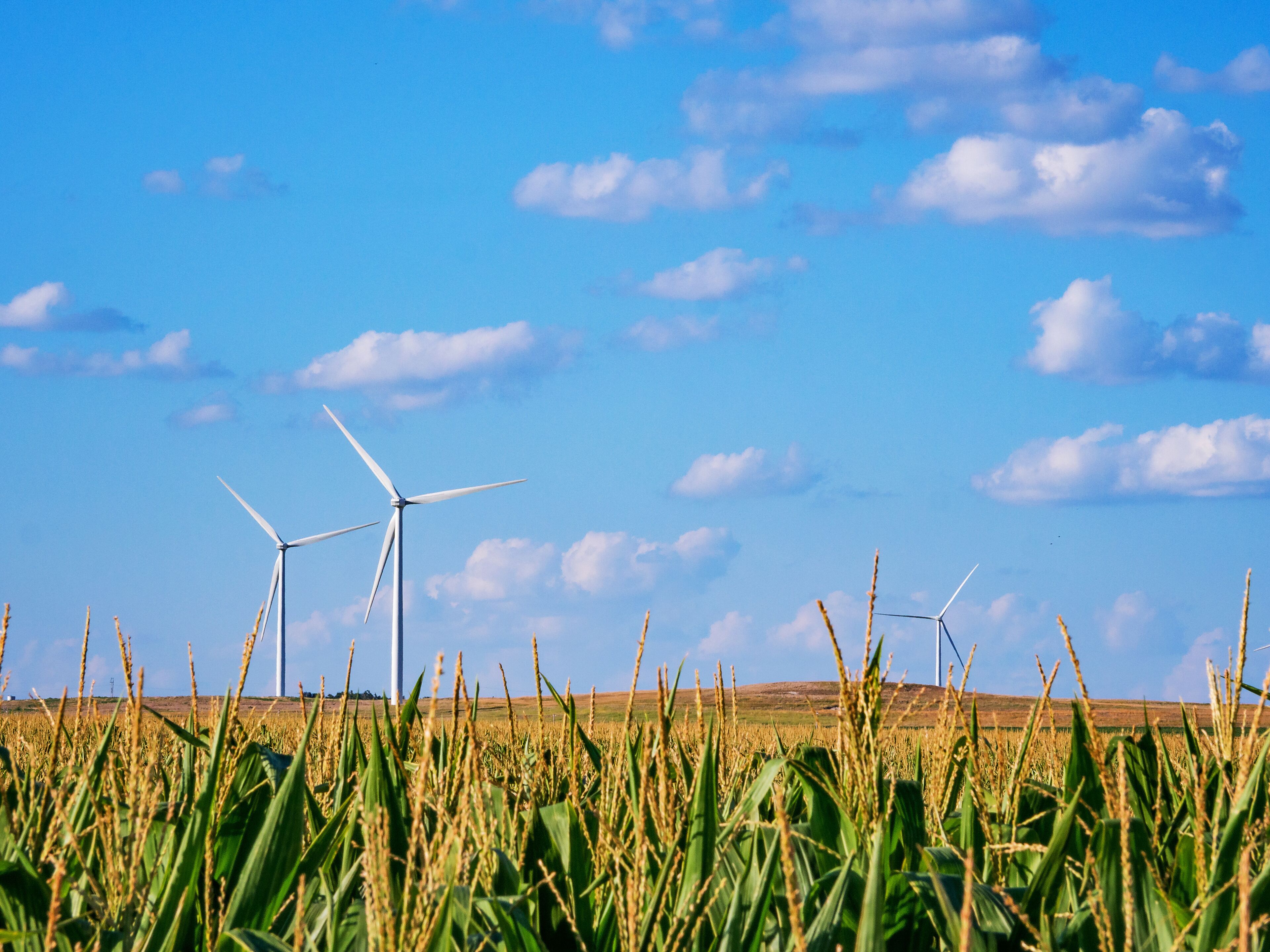 Kansas Corn Field Energy