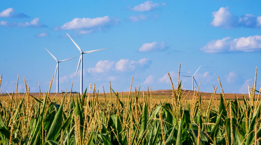 Kansas Corn Field Energy