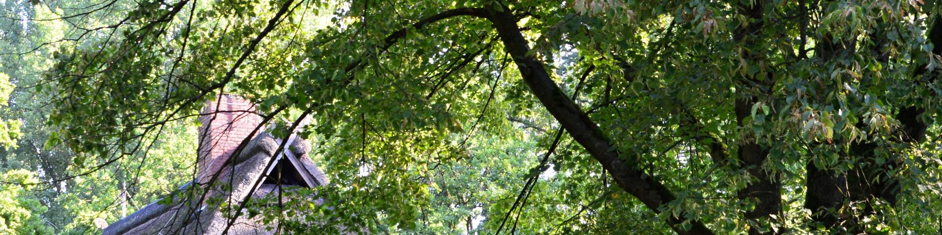 Historical Farm in the Town Neuenkirchen, Lower Saxony