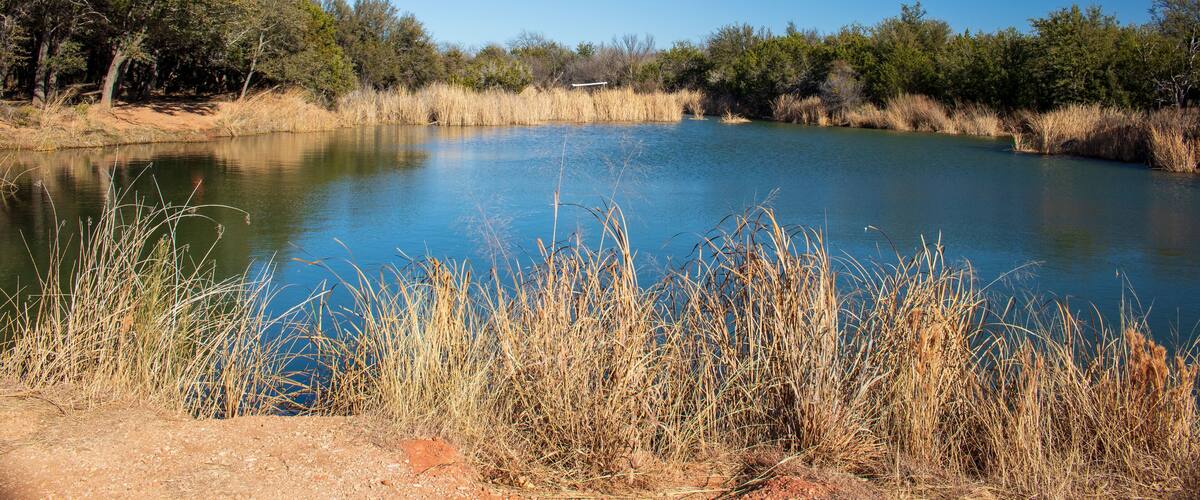A calm lake surrounded by dry grass and trees under a clear blue sky.