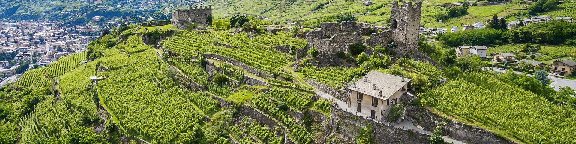 Sondrio - Valtellina (IT) - Castel Grumello e vigneti - vista verso ovest