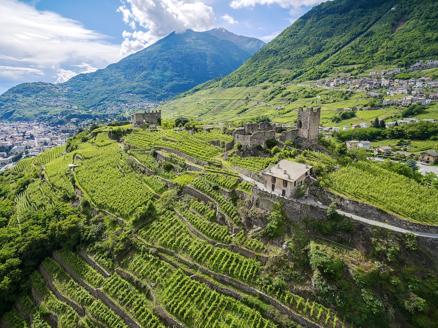 Sondrio - Valtellina (IT) - Castel Grumello e vigneti - vista verso ovest