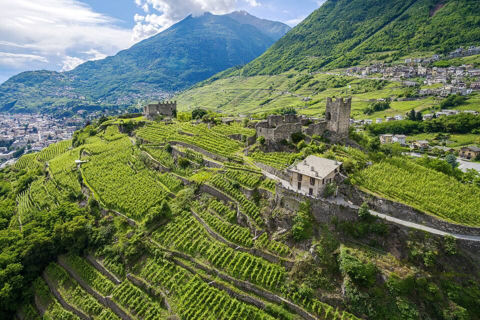 Des vignobles en terrasses, un château historique et une chaîne de montagnes en toile de fond.
