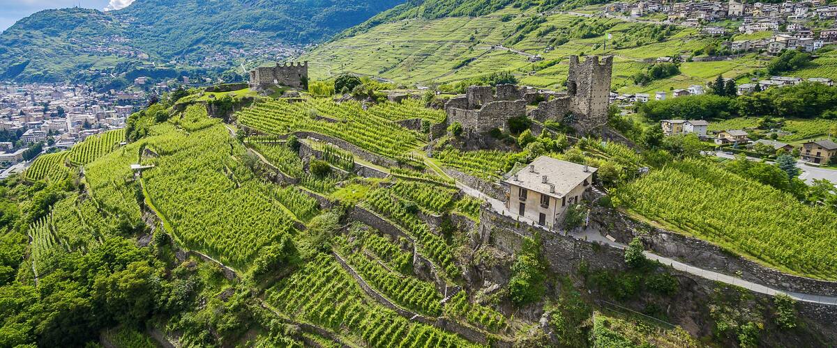 Terraced vineyards, a historic castle, and a mountain backdrop.