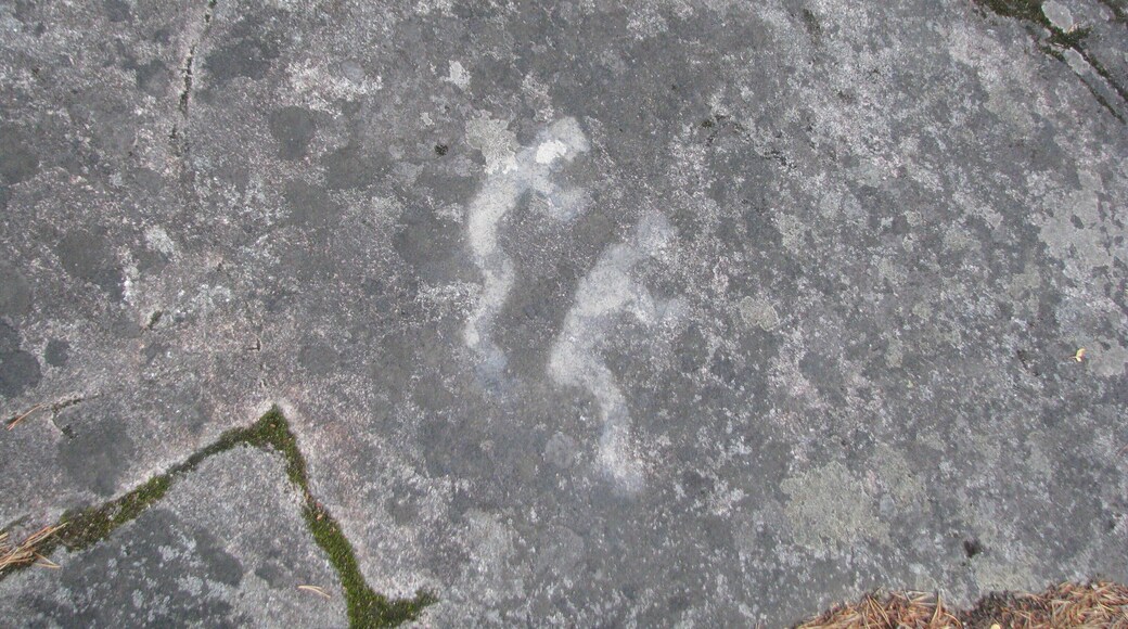 Belomorskiye petrogliphs