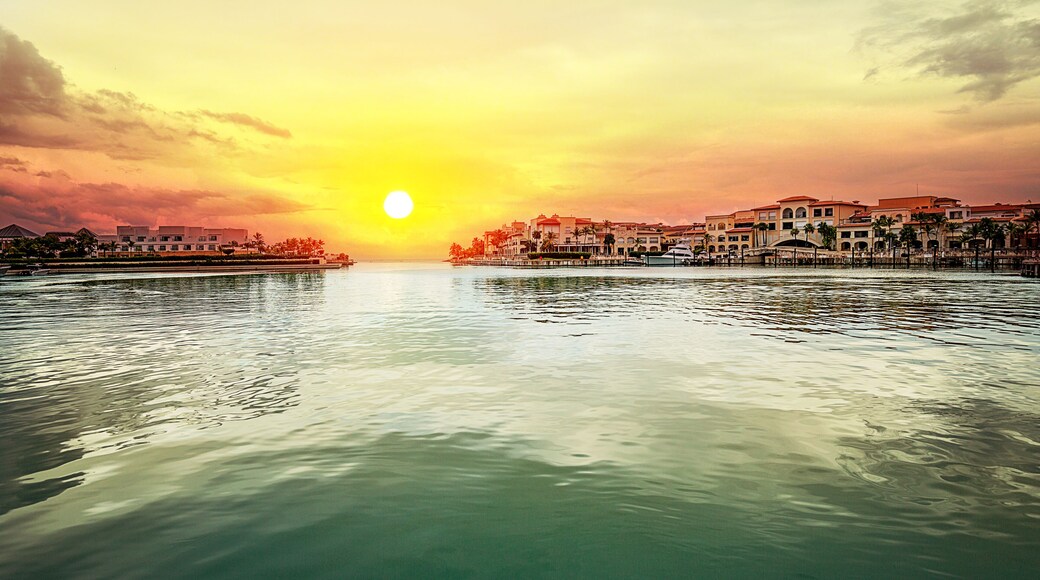 Cap Cana Marina in Punta Cana, Dominican Republic
