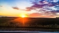 Ein Sonnenuntergang über einer grasbewachsenen Hügelkuppe, im Vordergrund eine Straße.
