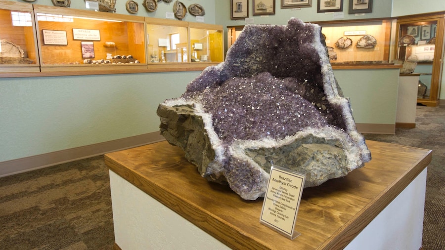 Petrified Wood Gallery