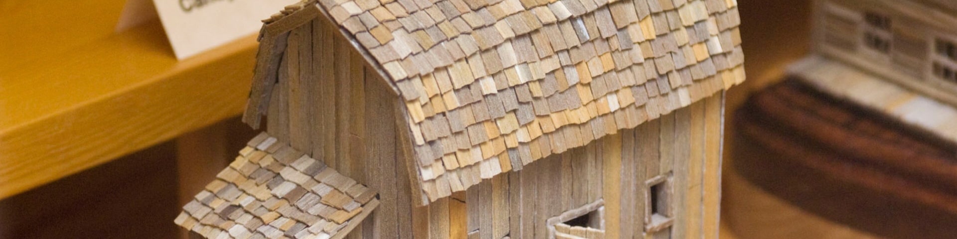 Petrified Wood Gallery que inclui vistas internas