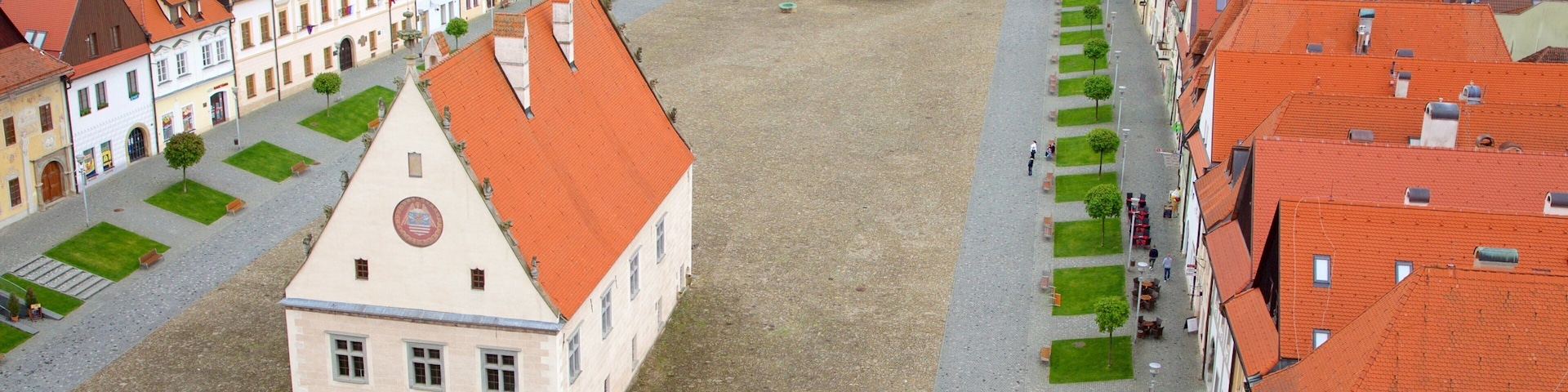 Plaza de Bardejov mostrando un parque o plaza y una ciudad
