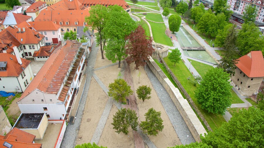 Bardejov Square showing a park