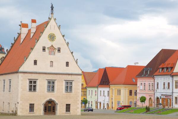 Saris Museum featuring street scenes and a square or plaza