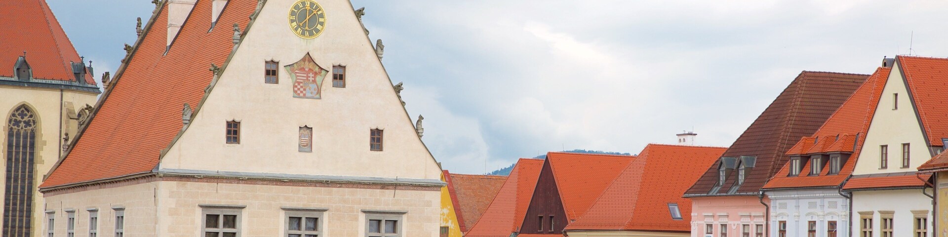 Saris Museum featuring street scenes and a square or plaza