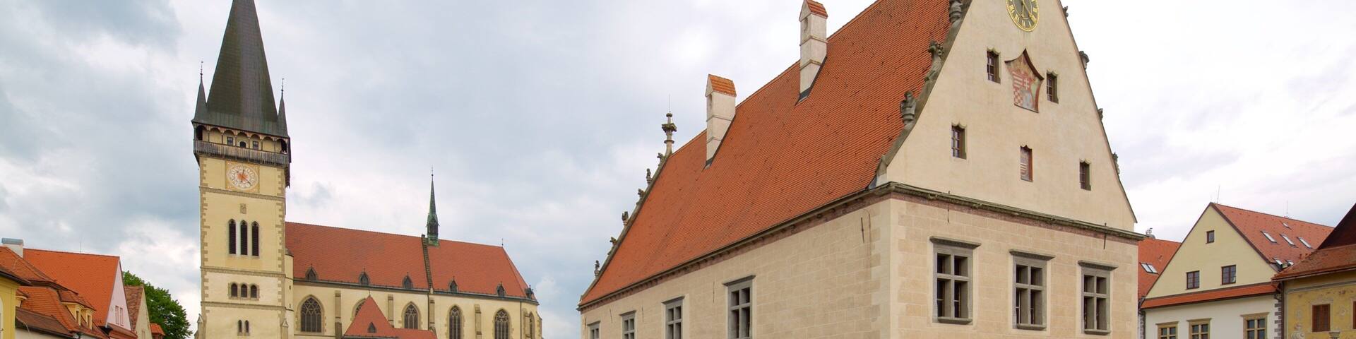 Saris Museum showing street scenes and a square or plaza