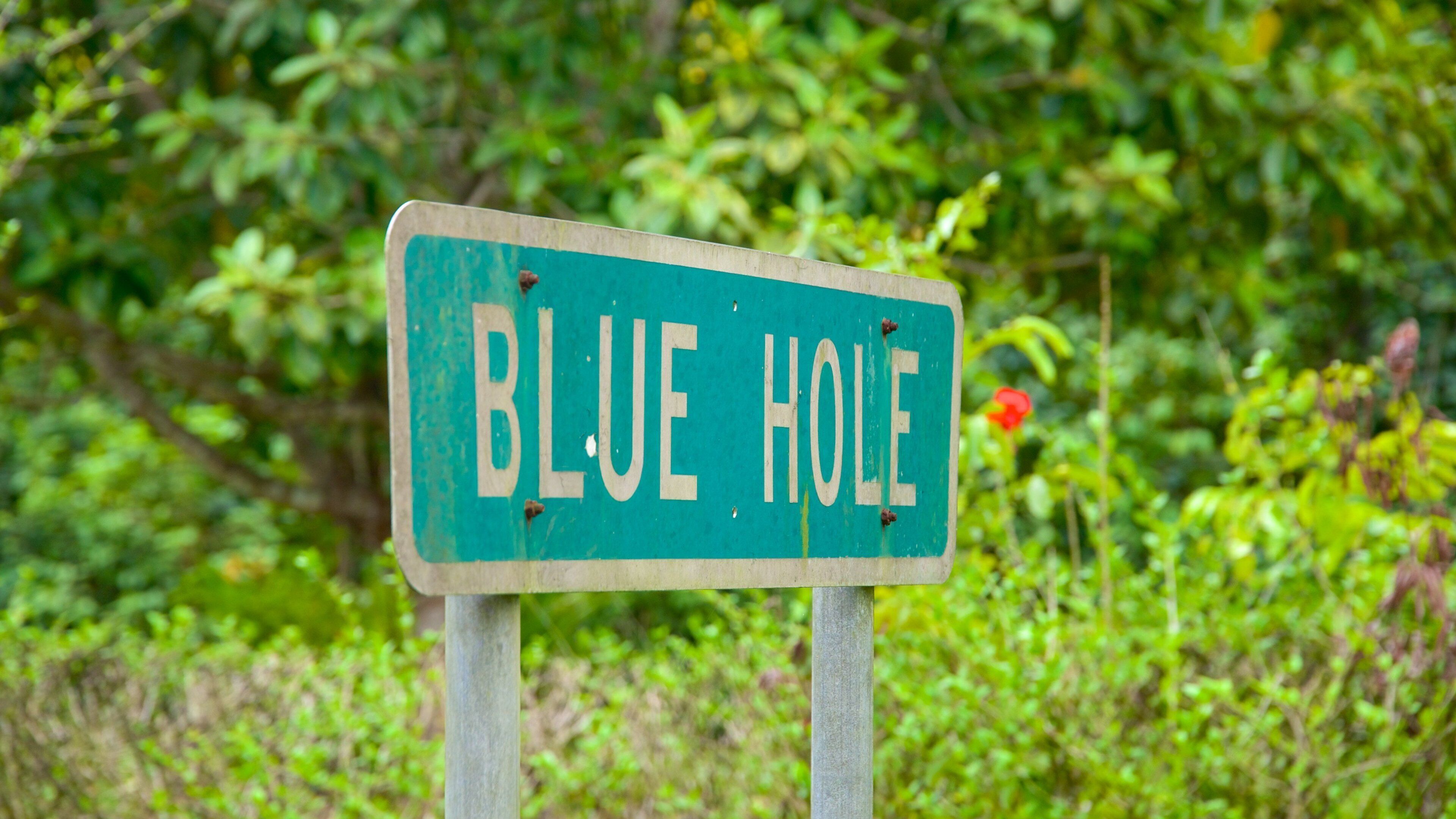 Blue Hole National Park showing forests and signage
