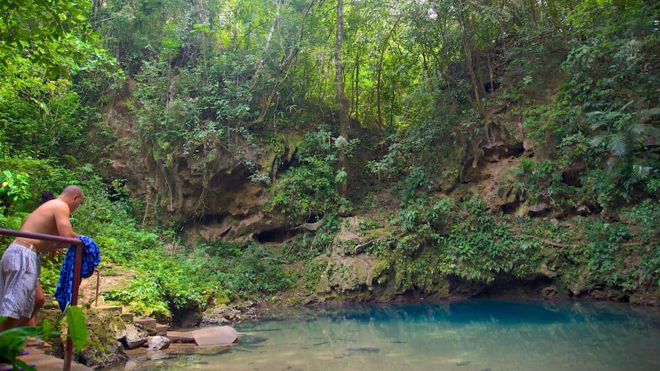 A natural pool surrounded by dense forest and rocky cliffs.