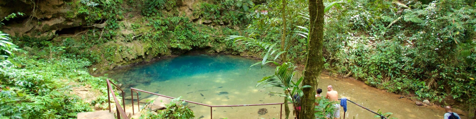 ๋ธ๋ฃจ ํ ๊ตญ๋ฆฝ ๊ณต์ ์ ํน์ง ์ด๋์ฐ๋ฆผ ๊ณผ ํธ์ ๋๋ ์