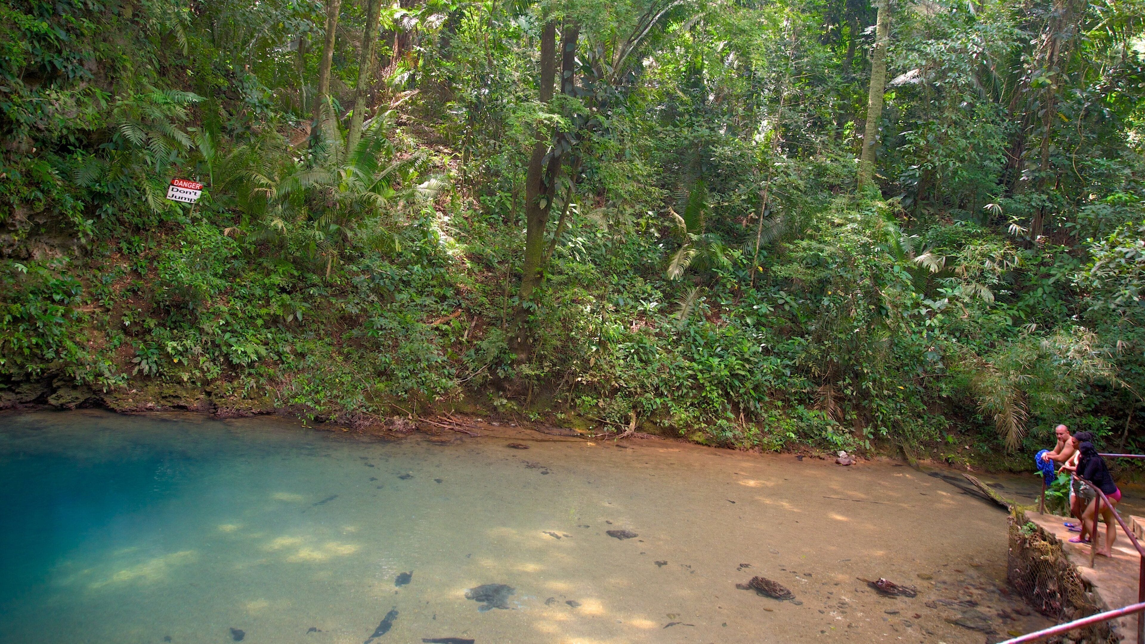 블루 홀 국립 공원 이 포함 호수 또는 샘 과 열대우림