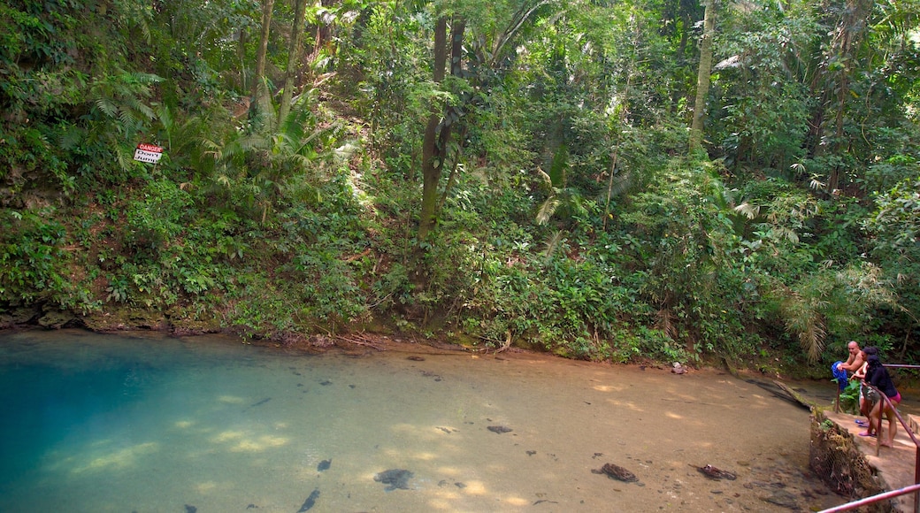 블루 홀 국립 공원 이 포함 호수 또는 샘 과 열대우림