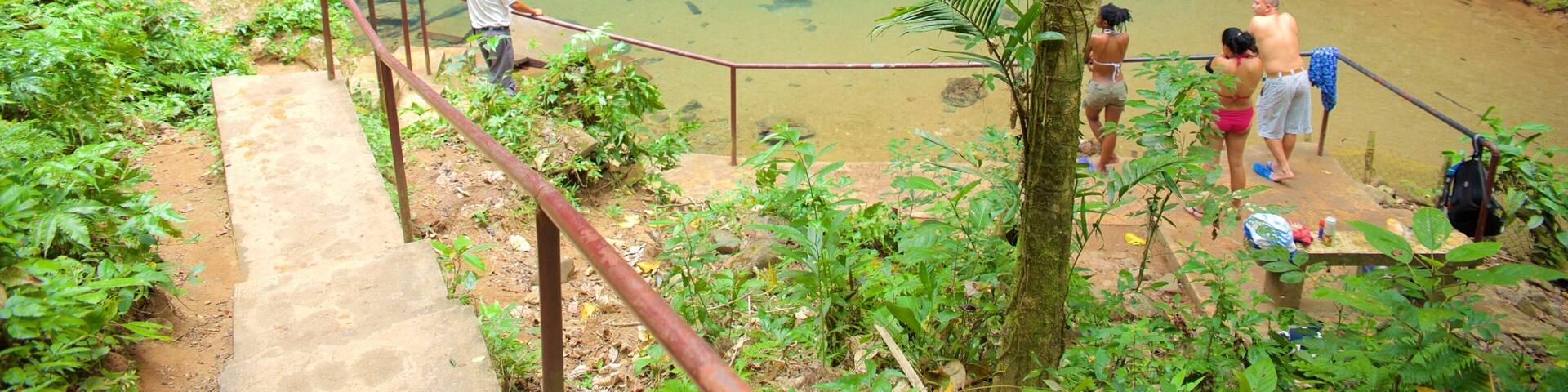 Blue Hole National Park showing tranquil scenes and a lake or waterhole as well as a small group of people