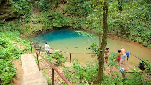 Blue Hole National Park showing tranquil scenes and a lake or waterhole as well as a small group of people