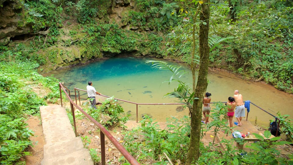 A natural pool surrounded by lush greenery and a staircase leading down to it.