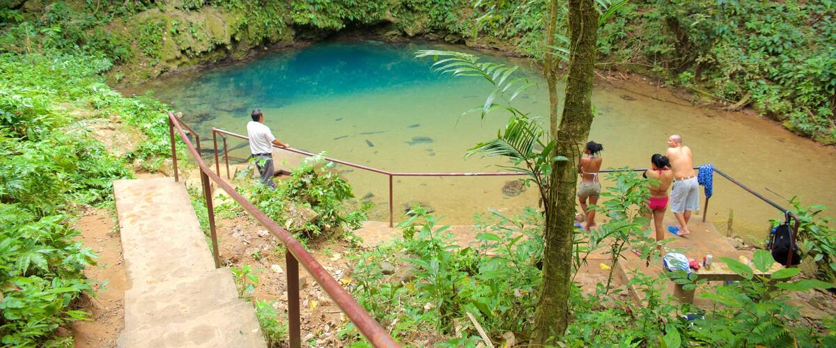 A natural pool surrounded by lush greenery and a staircase leading down to it.