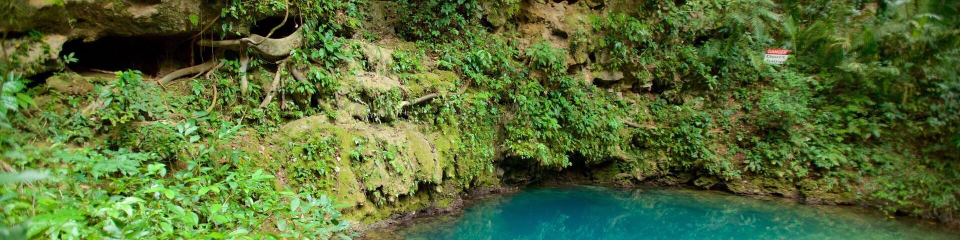 Parc national Blue Hole montrant forĂȘt vierge et lac ou Ă©tang
