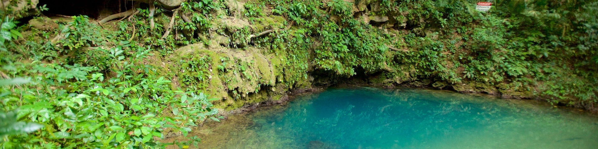 Blue Hole National Park which includes a lake or waterhole and rainforest