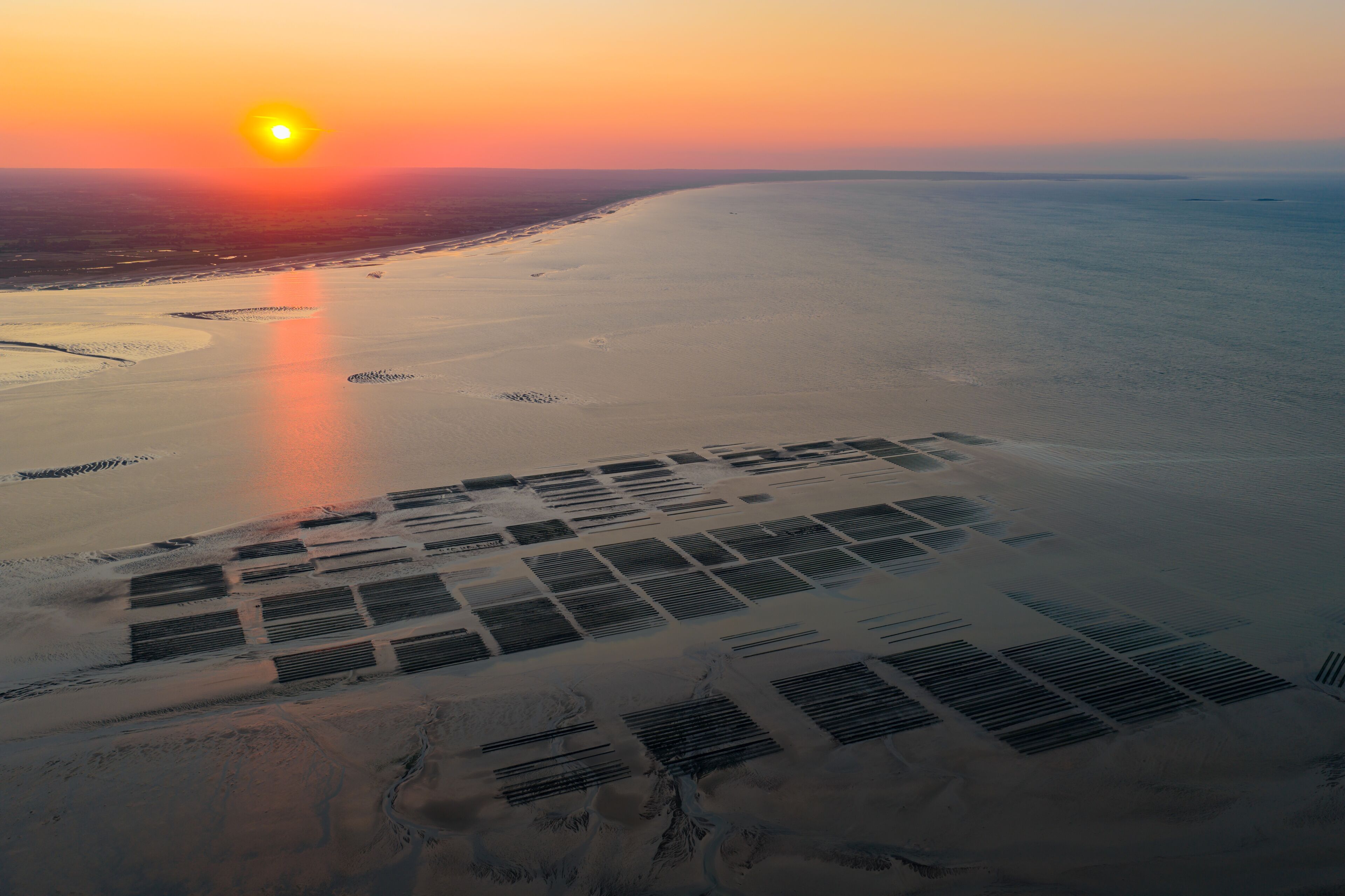 Aerial view of Oyster farm at sunset 
