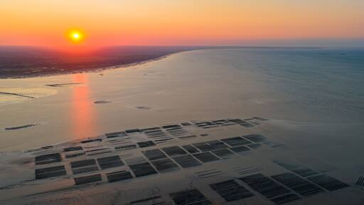 Aerial view of Oyster farm at sunset