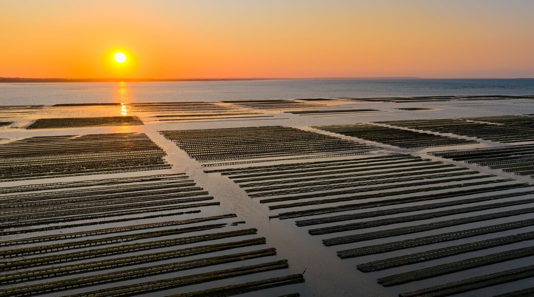 Aerial view of Oyster farm at sunset
