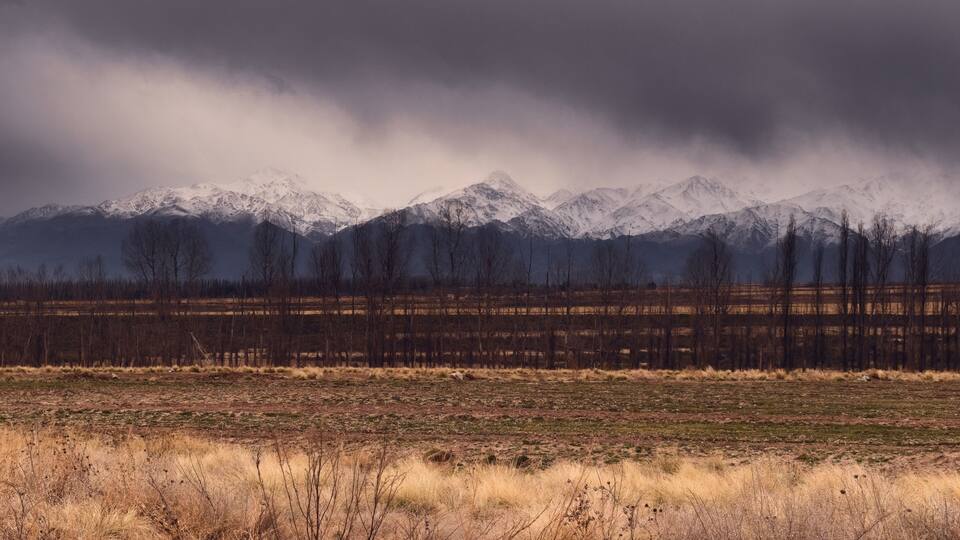 A snow-covered mountain range with a forest in the foreground.