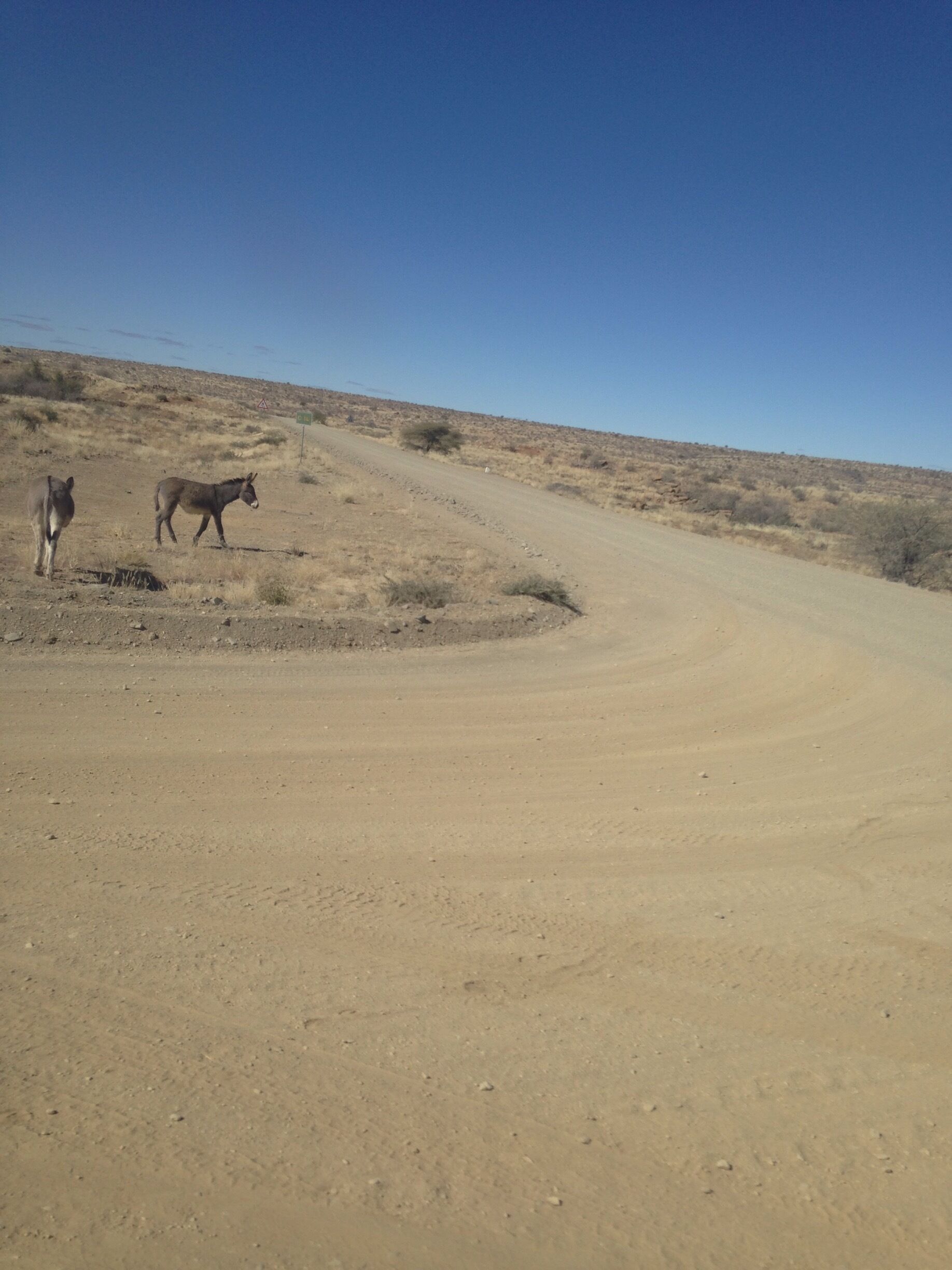 A few hours outside of Windhoek, near the town of Rehoboth. The main road is bumpy and dusty, with donkeys and antelope nearby