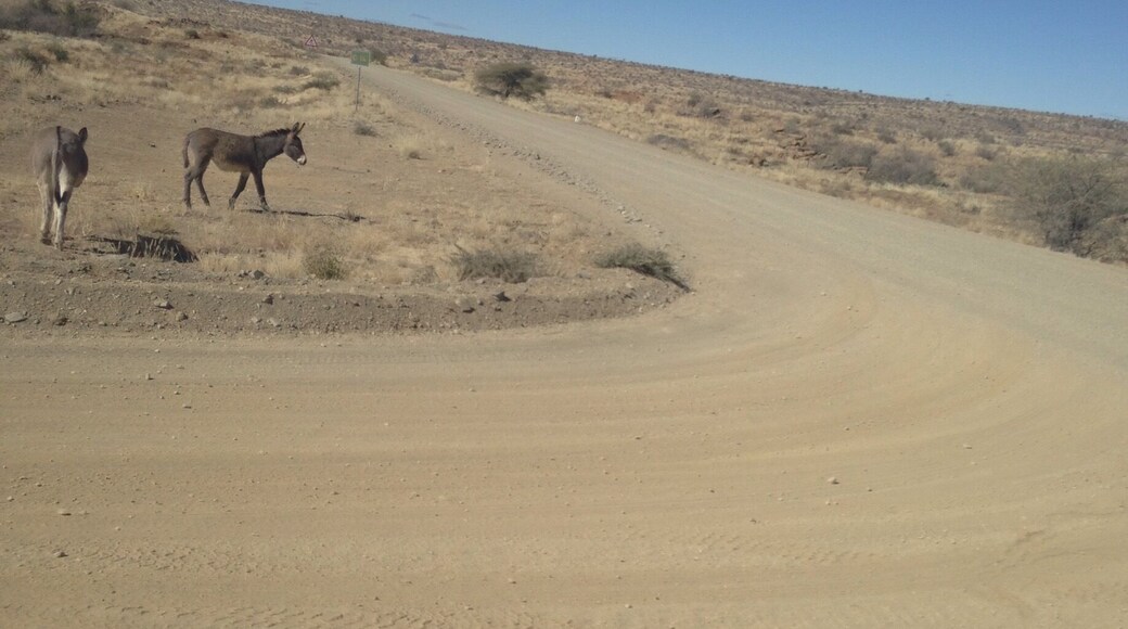 A few hours outside of Windhoek, near the town of Rehoboth. The main road is bumpy and dusty, with donkeys and antelope nearby