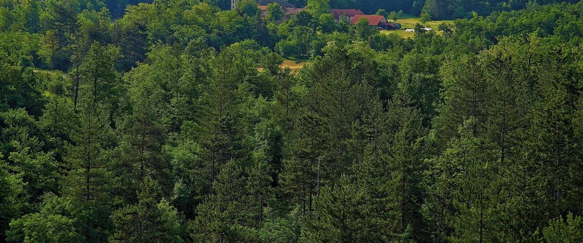 Abbazia di Tiglieto, telefoto