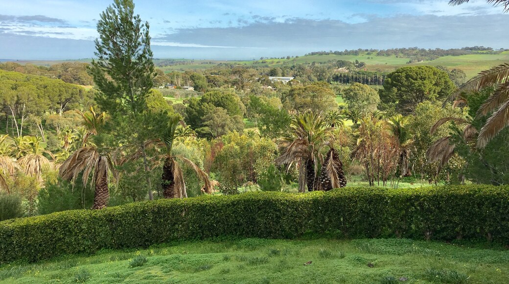 View from the Seppeltsfield mausoleum.