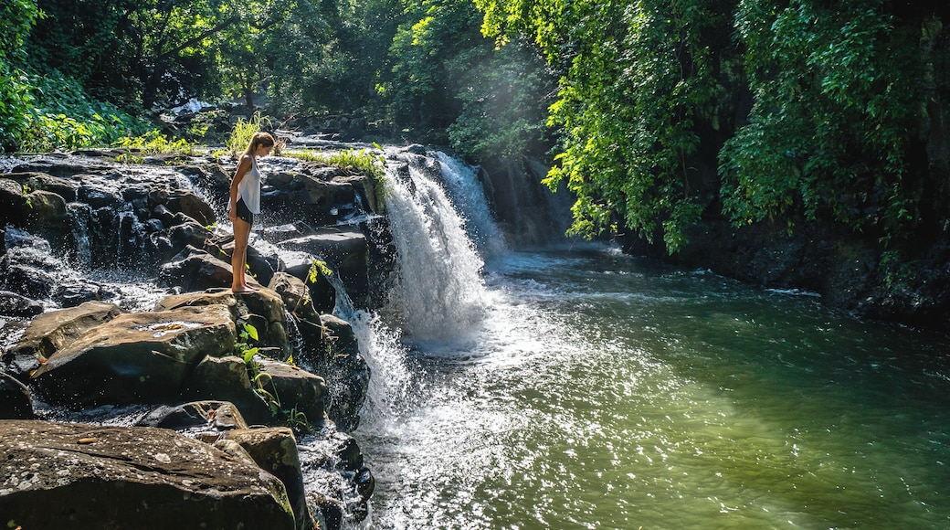 Exploring Eureka Waterfall
#Adventure