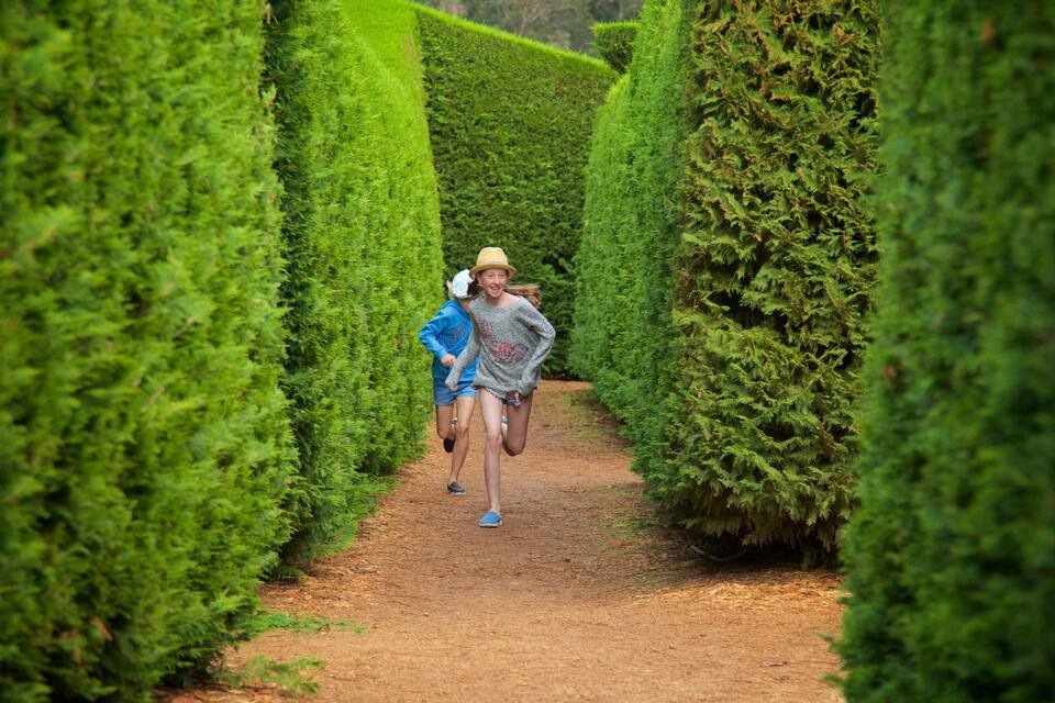 A narrow pathway flanked by neatly trimmed hedges.