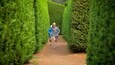 A narrow pathway flanked by neatly trimmed hedges.