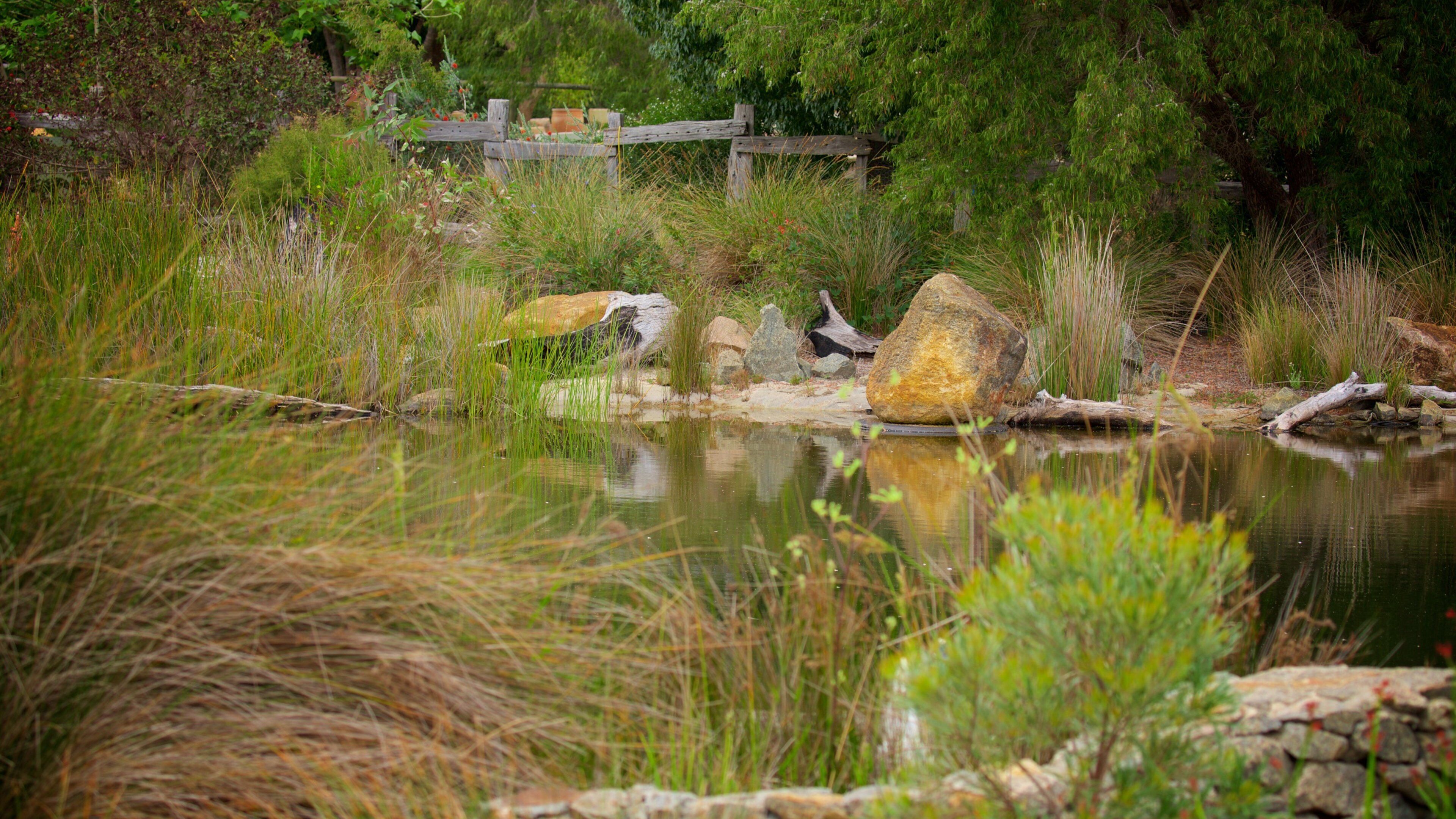 Amaze\'n Margaret River showing a garden and a river or creek