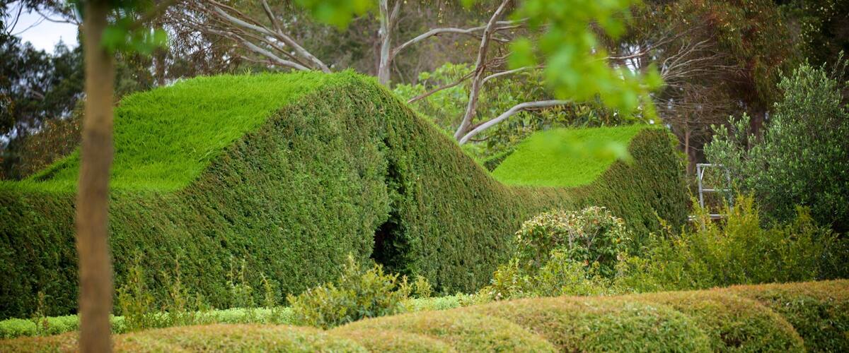 Parque de aventuras Amaze\'n Margaret River ofreciendo un jardín