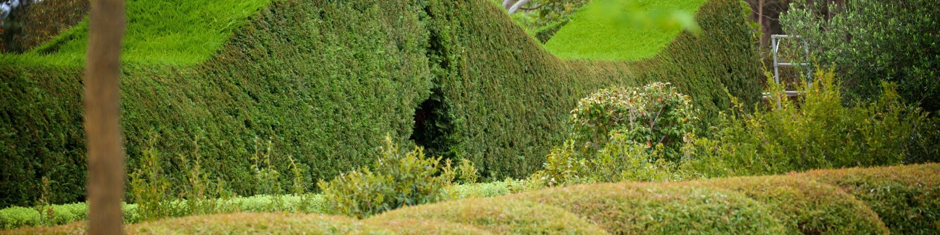 Amaze\'n Margaret River featuring a park