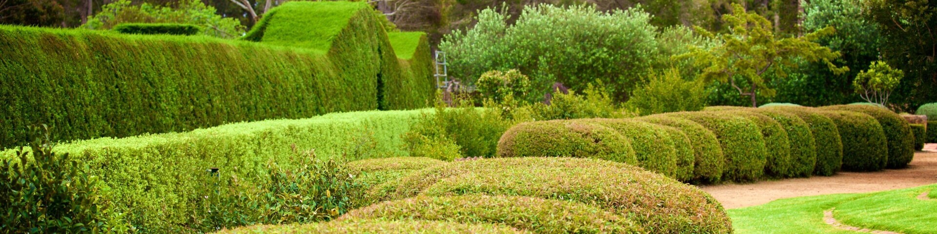 Rivière RivAmaze\'n mettant en vedette jardin