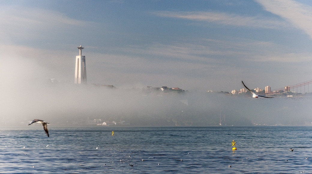 Christus de Koning in Vimieiro